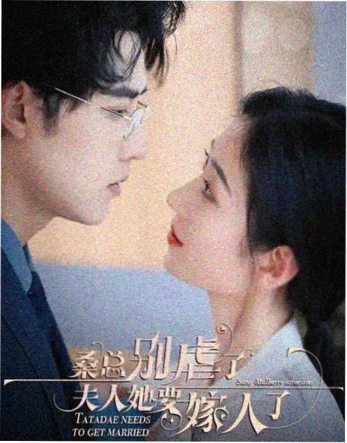 雾港迷局 热门剧集推荐